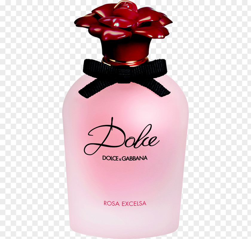 Perfume Eau De Toilette Dolce & Gabbana Milliliter Fashion PNG