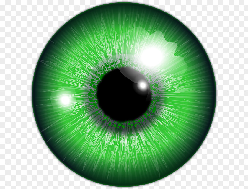 Pupil Eye Color Clip Art PNG