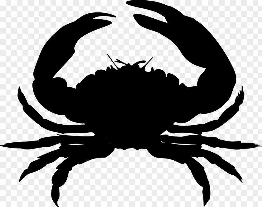 Shrimp Vector Crab Silhouette Clip Art PNG