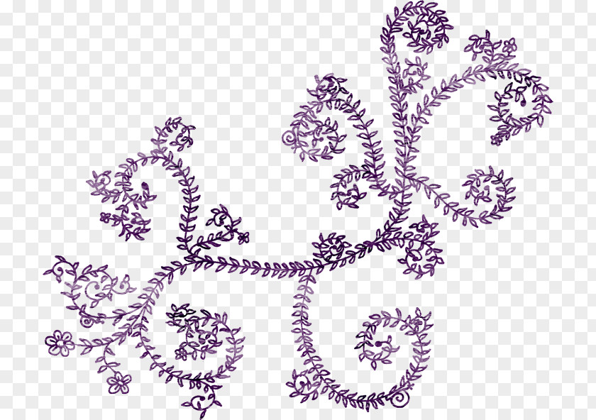 Violet Purple Color PNG