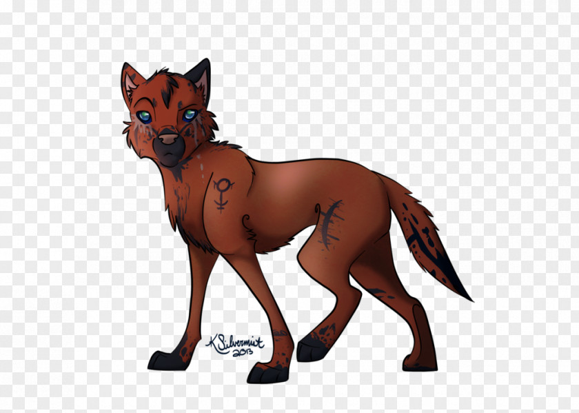 Walk Way Red Fox Dog Fur Snout PNG