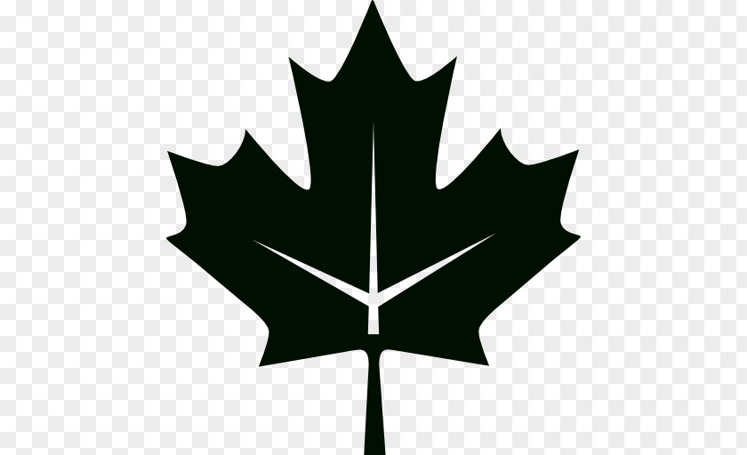Canada Flag Of Maple Leaf National PNG