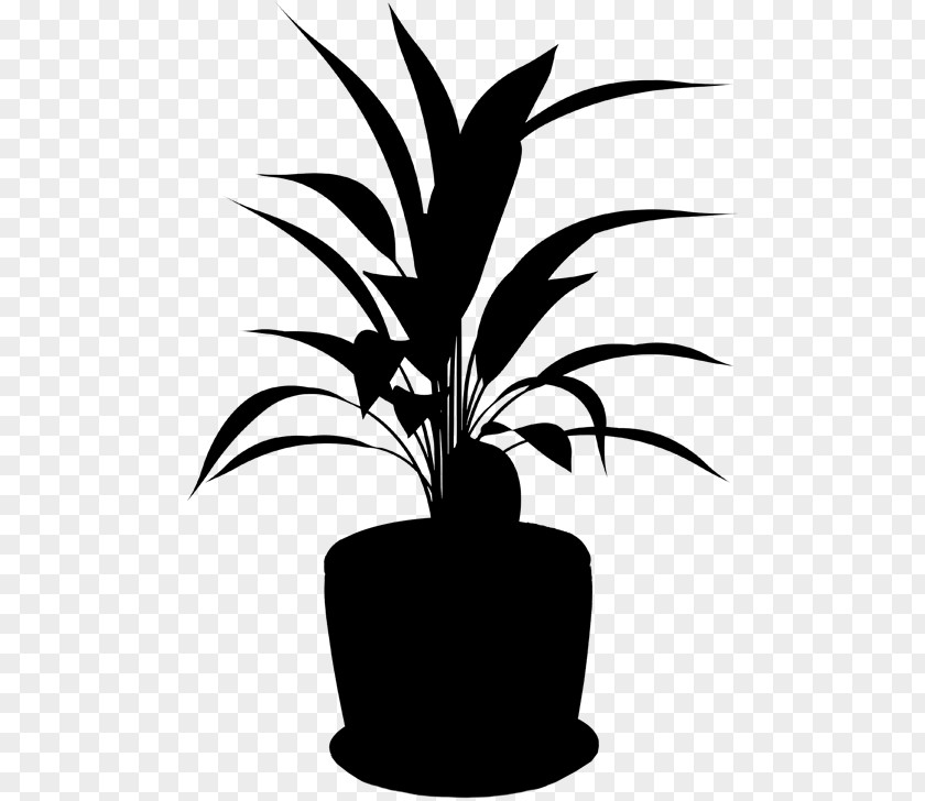 Palm Trees Clip Art Plant Stem Flower Leaf PNG