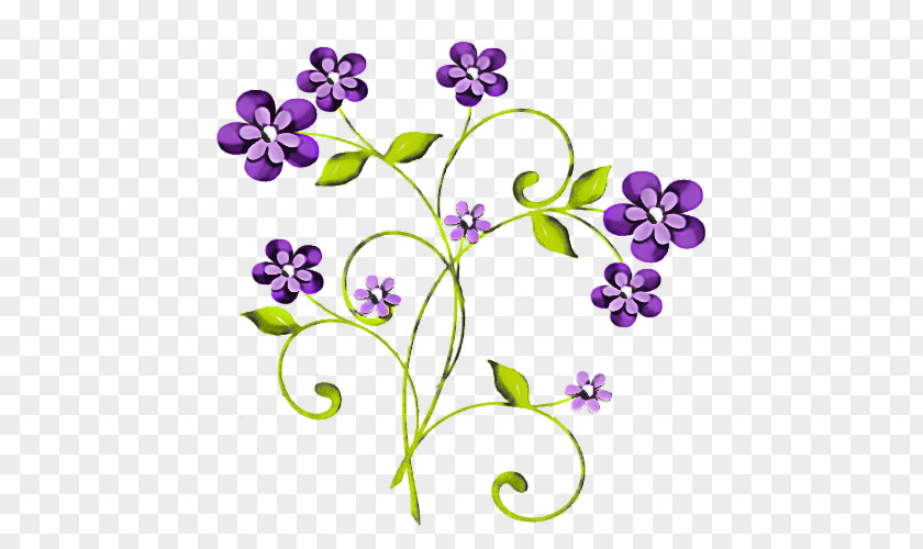 Violet Family Wildflower Flower Purple Plant Pedicel PNG