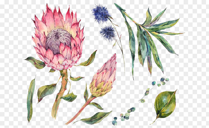 Watercolor Flowers Painting Stock Photography PNG