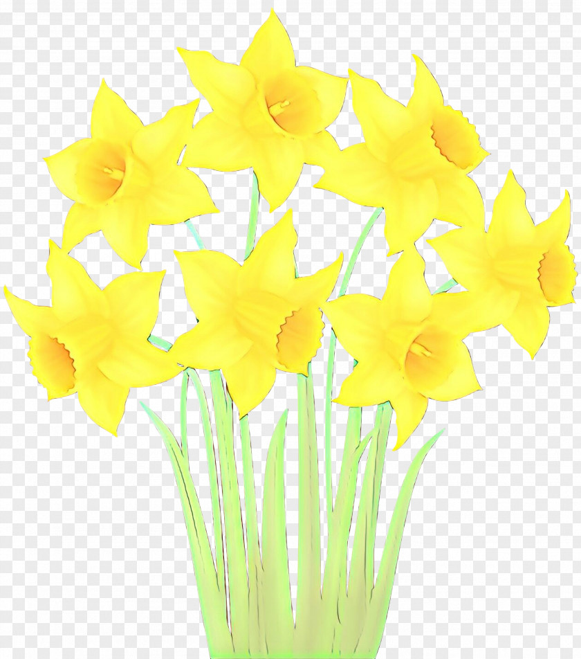 Yellow Flower Cut Flowers Narcissus Plant PNG