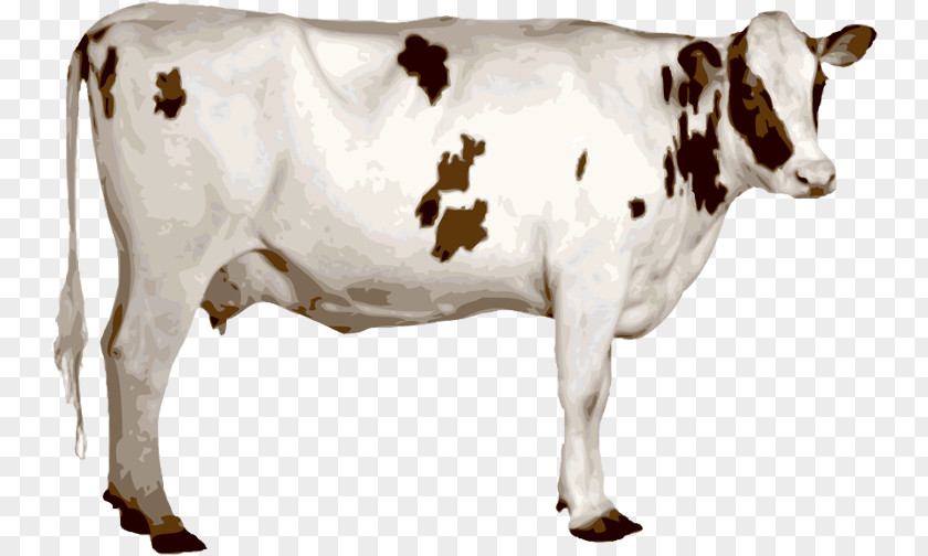 A Cow Holstein Friesian Cattle Ongole Texas Longhorn Jersey Dairy PNG