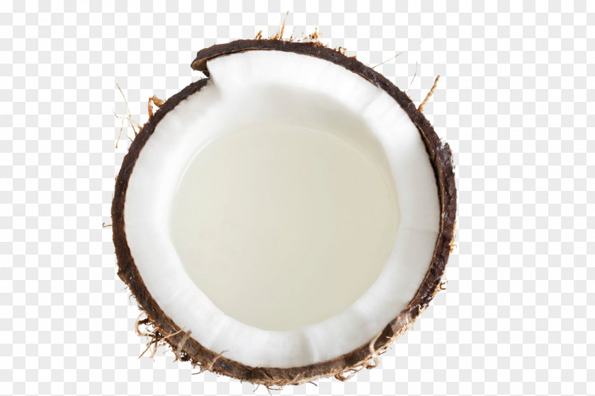 Coconut Milk Grated PNG