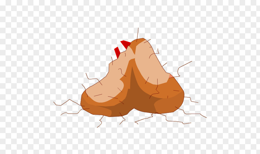 Exam Testicle Clip Art PNG