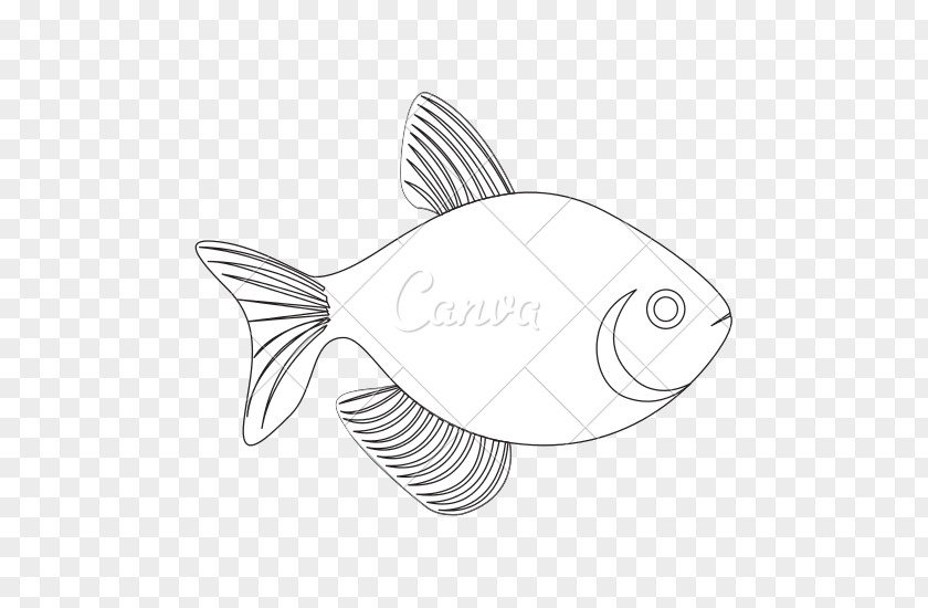 Fish Line Art Silhouette Photography PNG