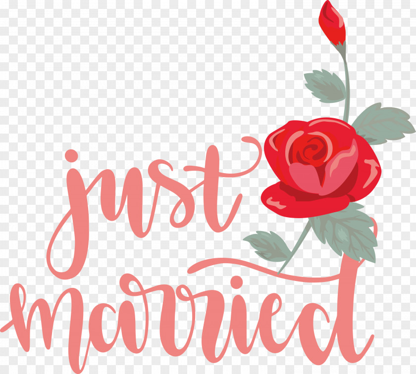 Just Married Wedding PNG