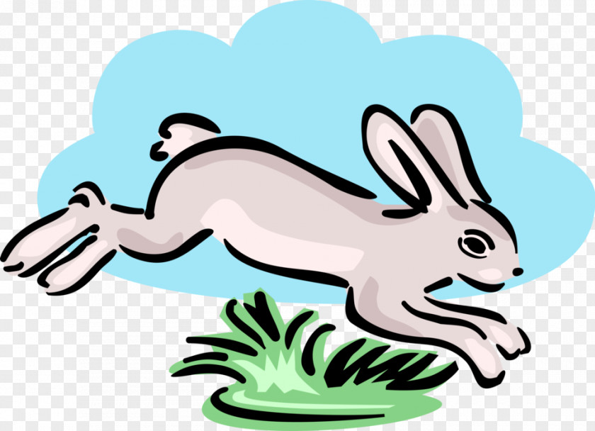 Rabbit Hare Clip Art Openclipart Free Content Illustration PNG