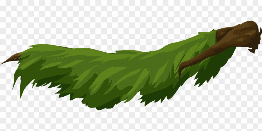 Rama Tree Leaf Green PNG