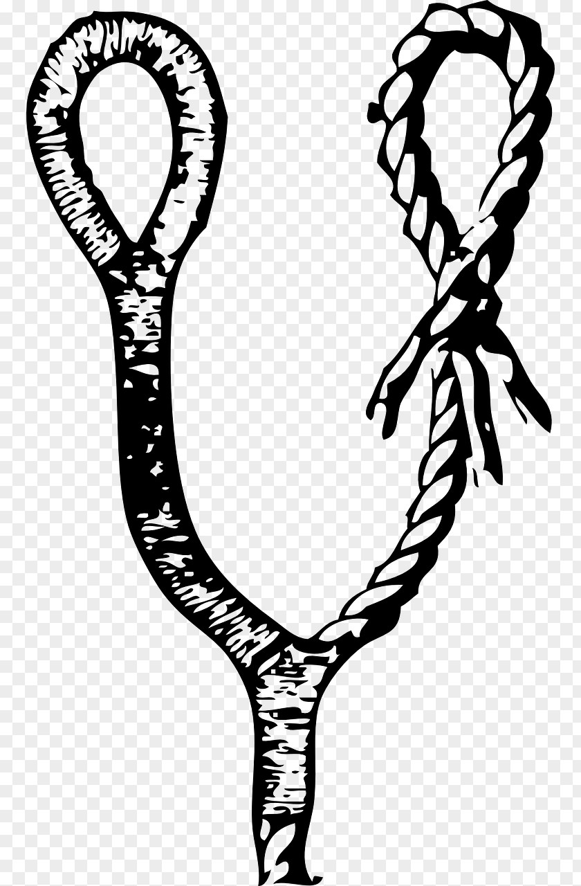 Rope Seizing Knot Clip Art PNG