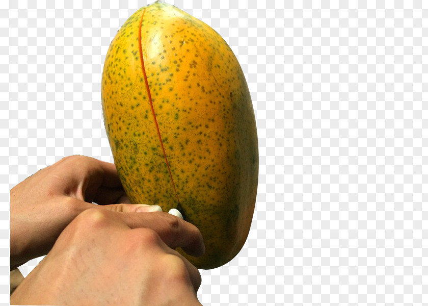 Cut Papaya Google Images Knife PNG