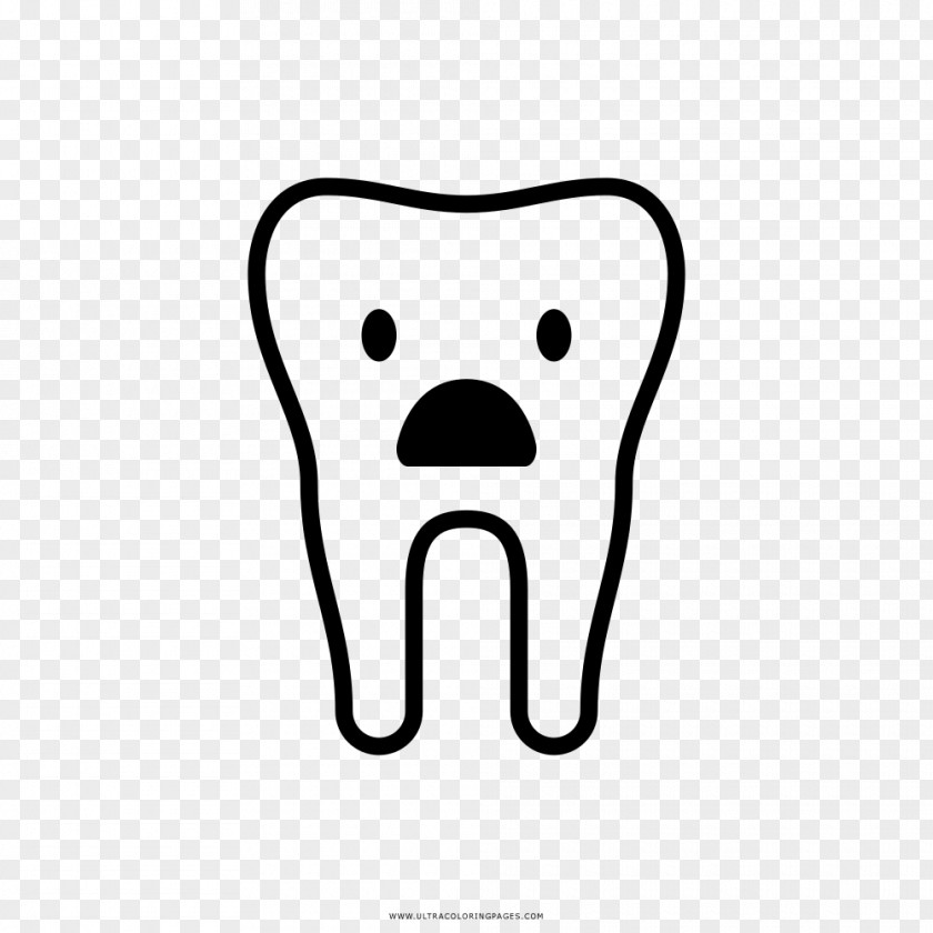 Dentistry Snout Tooth Human Behavior Homo Sapiens PNG