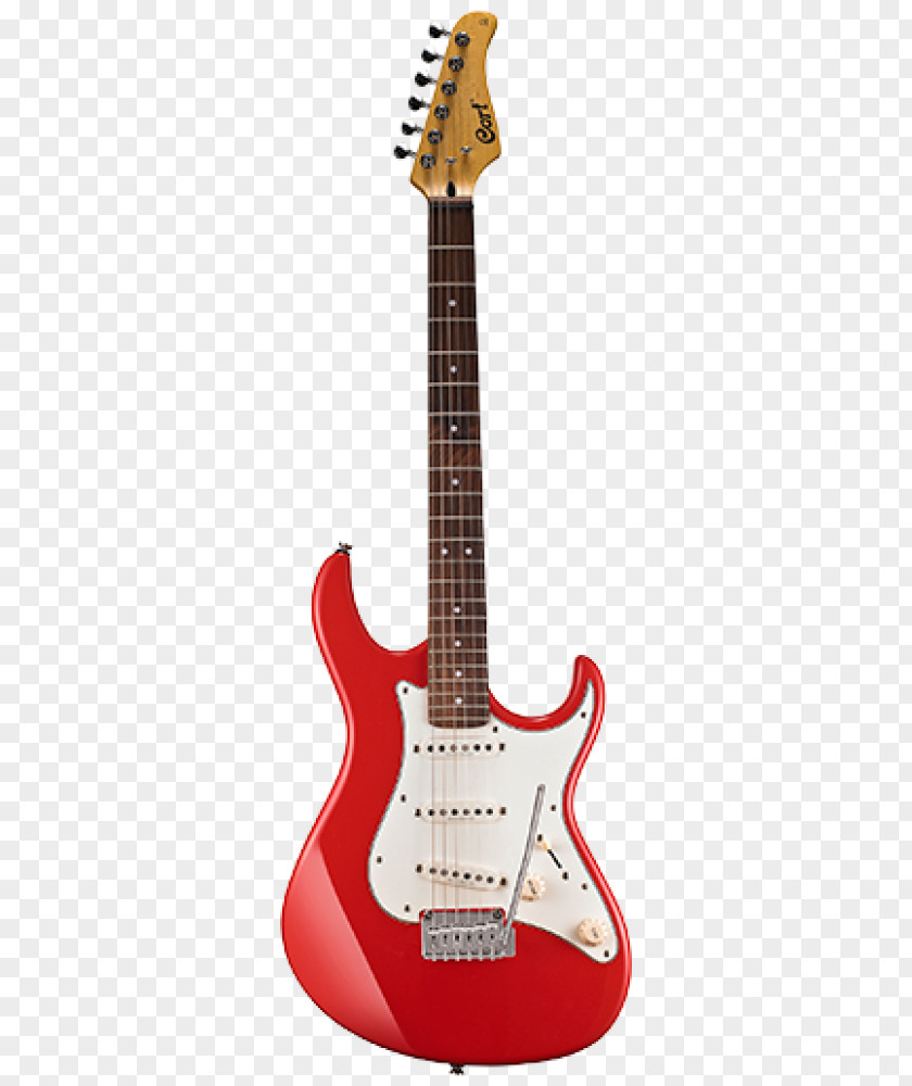 Electric Guitar Aria Squier Sunburst Fender Stratocaster PNG