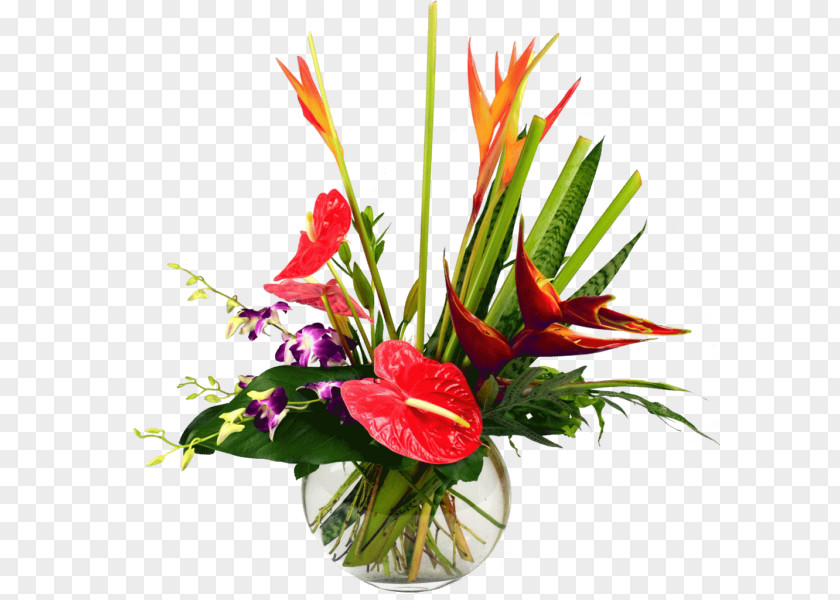 Flower Floristry Bouquet Cut Flowers Floral Design PNG