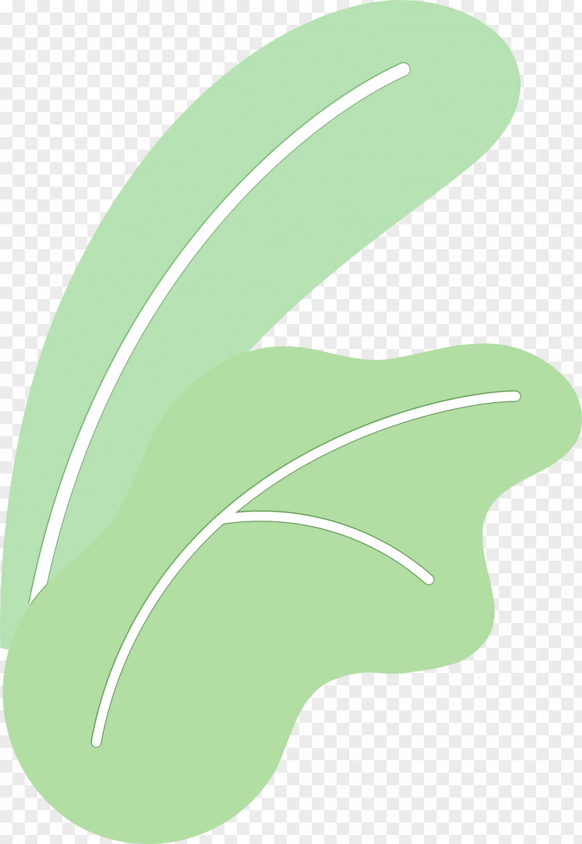 Leaf Angle Line Meter Plant Structure PNG