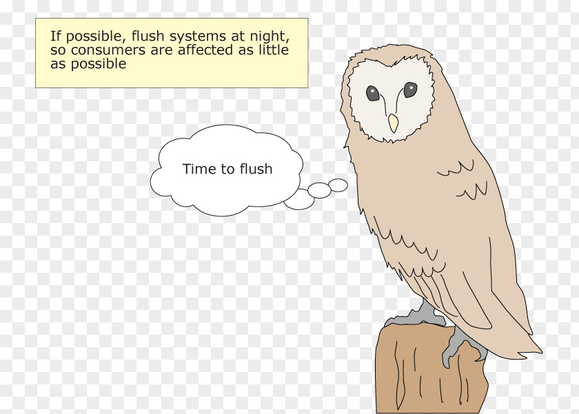 Owl Beak Bird Of Prey PNG