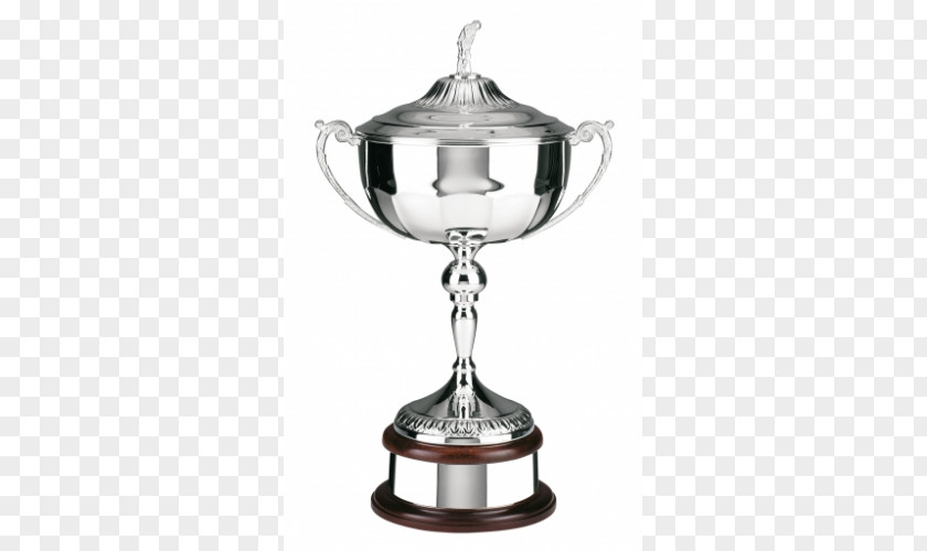 Trophy Award Cup Golf Medal PNG