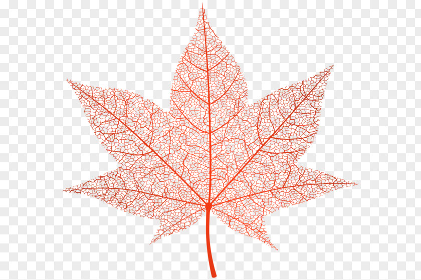 Autumn Clipart Leaf Color Maple Clip Art PNG