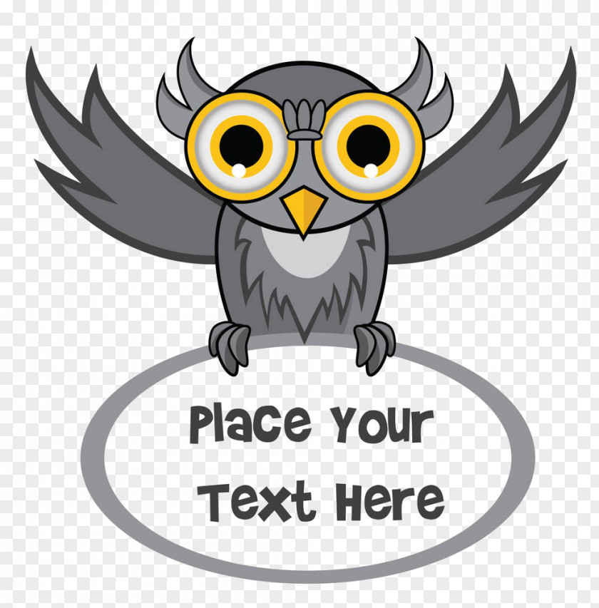 Cartoon Owl Photography Illustration PNG