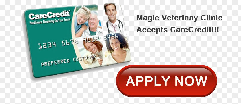 Dental Clinic Card Magie Veterinary Health Care Finance Credit Veterinarian PNG