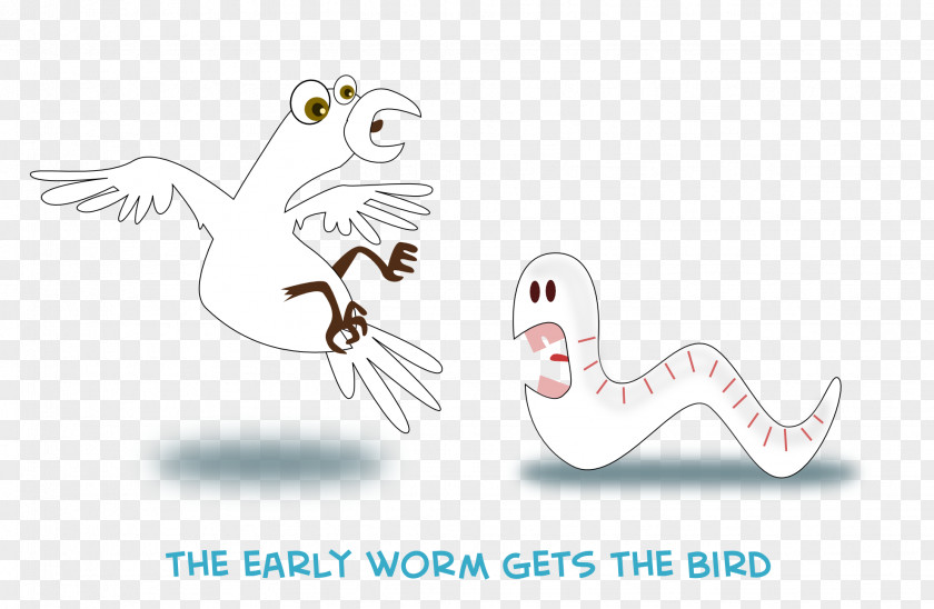 Worm Cartoon Black And White Clip Art Illustration Drawing Beak PNG