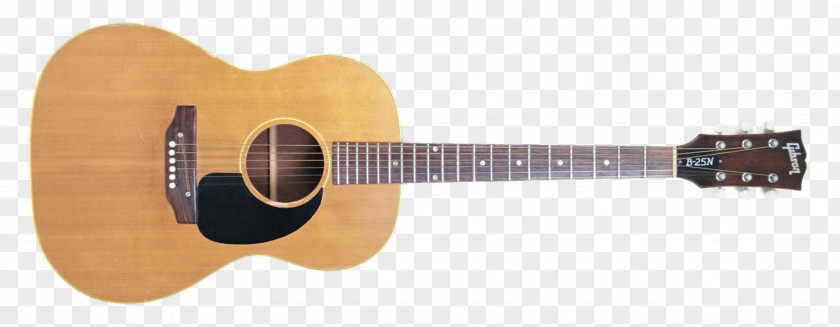 Acoustic Guitar Vintage And Modern Guitars Acoustic-electric Tiple PNG