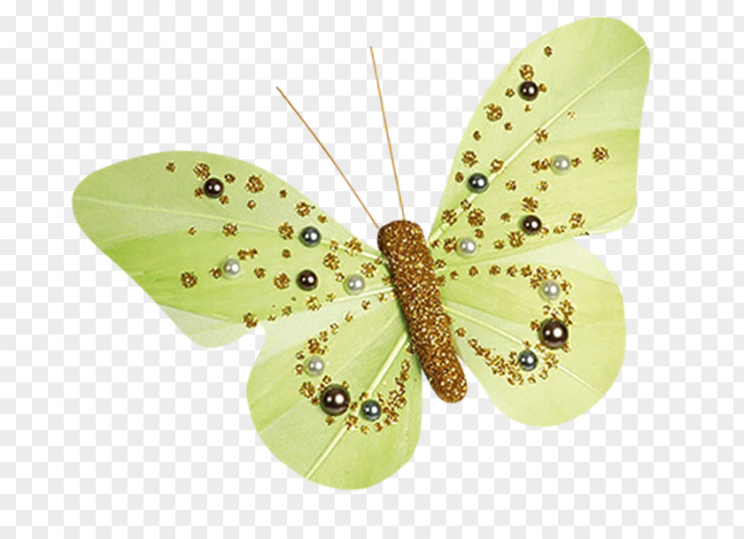 Butterfly With Pearls Table Butterflies And Moths Marriage Scrapbooking Party PNG