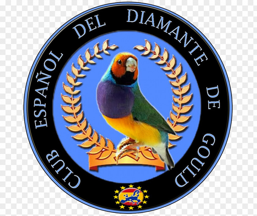 Diamantes De Gould Queen Ethelburga's Collegiate Cardiff Sixth Form College YO26 9SS School Education PNG