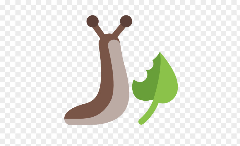 Eating Snail Gastropods Slug Leaf PNG