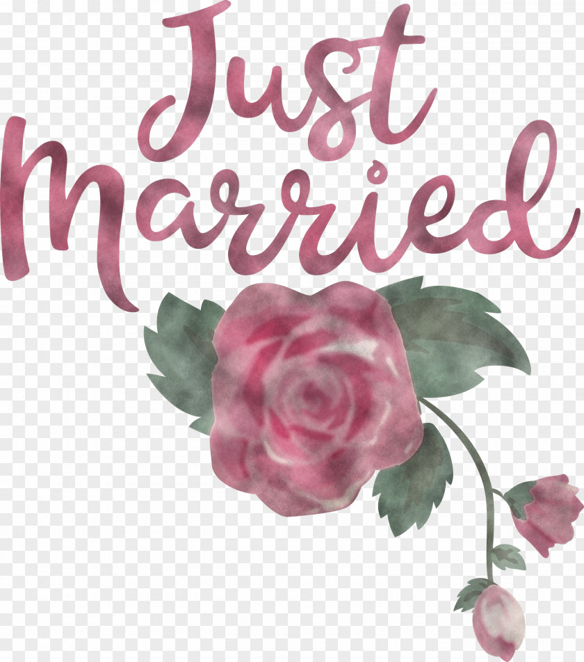 Just Married Wedding PNG