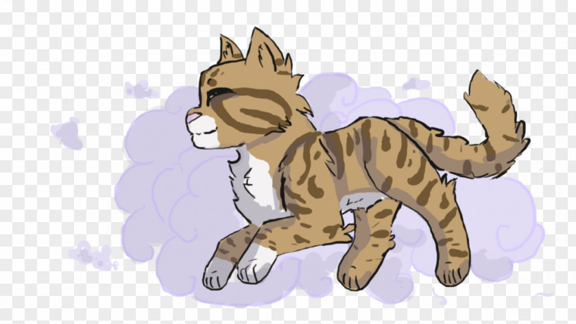 Kitten Tiger Whiskers Cat Paw PNG