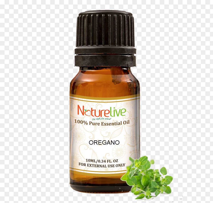 Oil Aromatherapy Essential Carrier Herb PNG