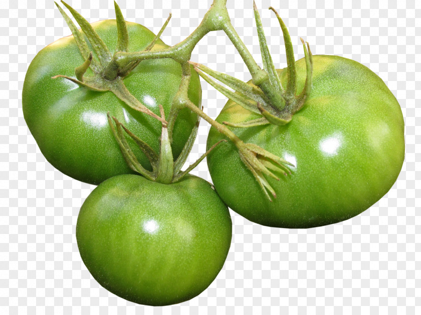 Tomato Organic Food Tomatillo Vegetarian Cuisine PNG