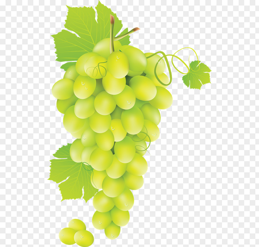 72 Chenin Blanc White Wine Grape PNG