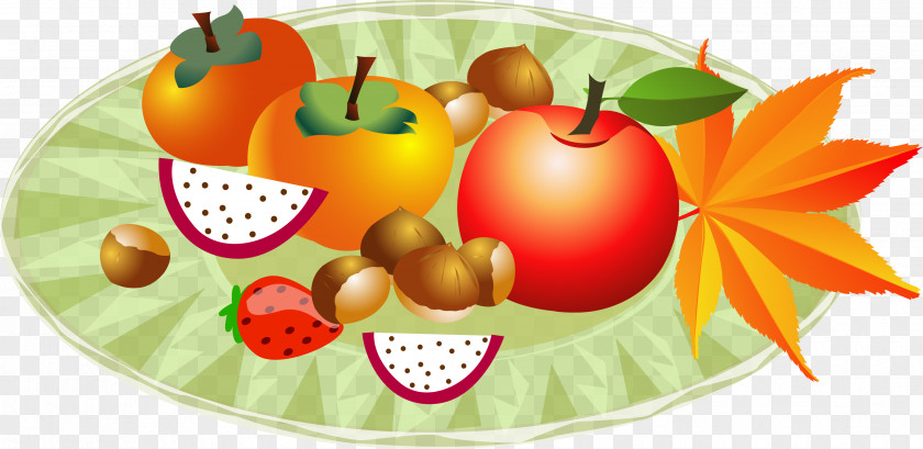 Autumn Harvest Fruit Illustration PNG