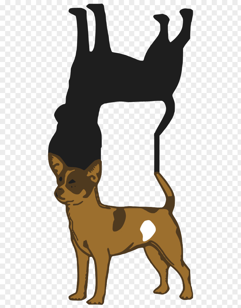 Chihuahua Dog Puppy Vertebrate Camel Mammal PNG