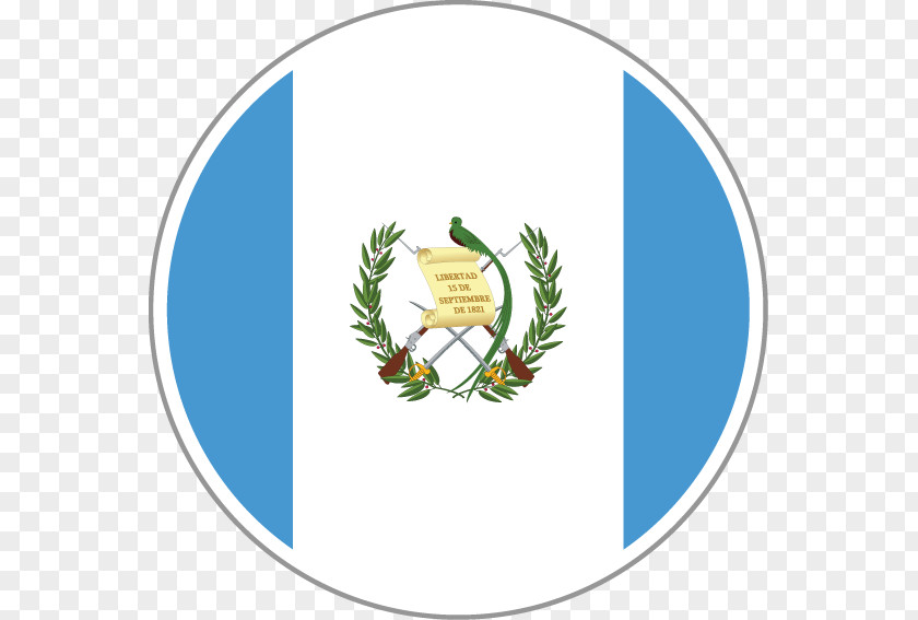 Flag Of Guatemala San Vicente Pacaya Zazzle National PNG