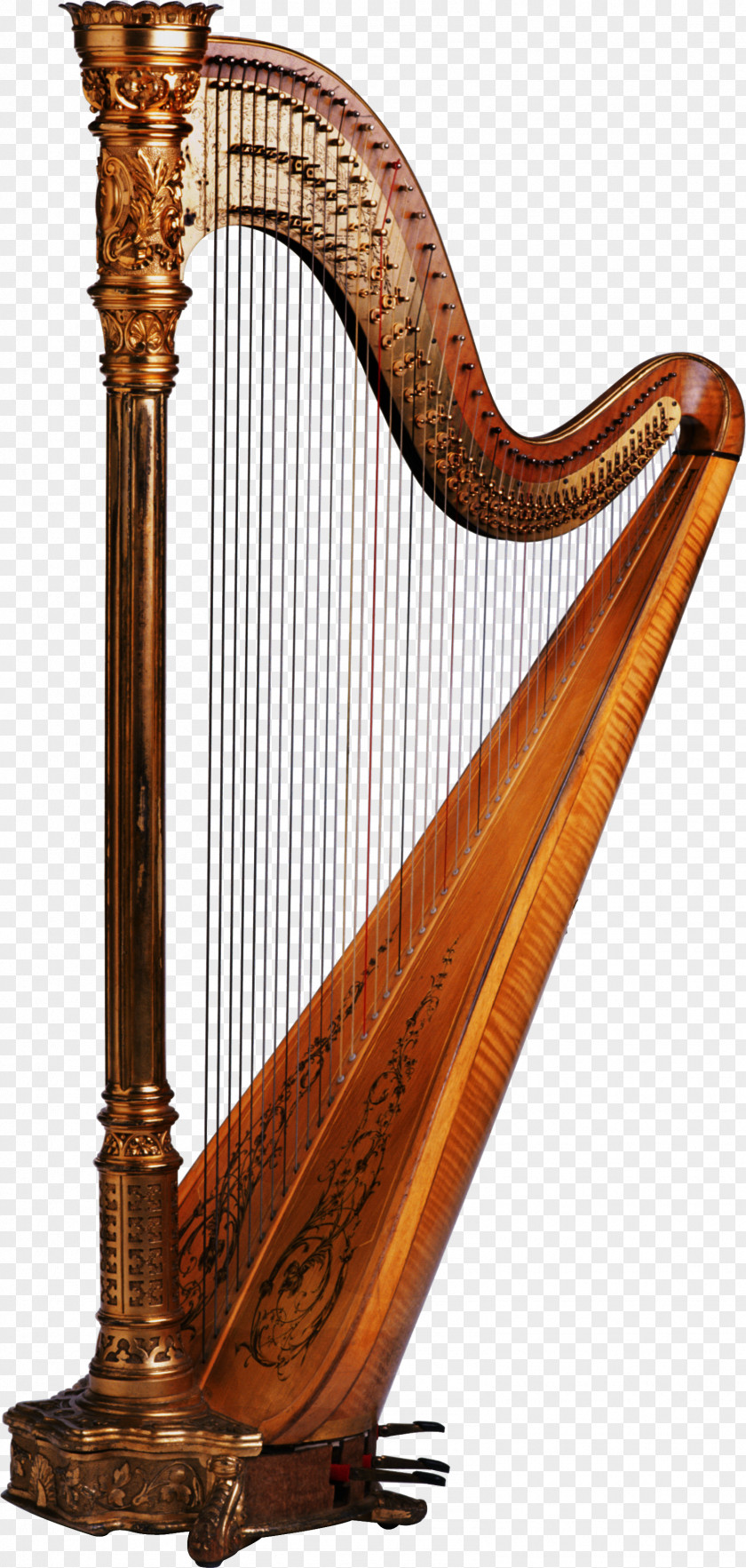 Harp Musical Instruments Maraca Cuatro String PNG