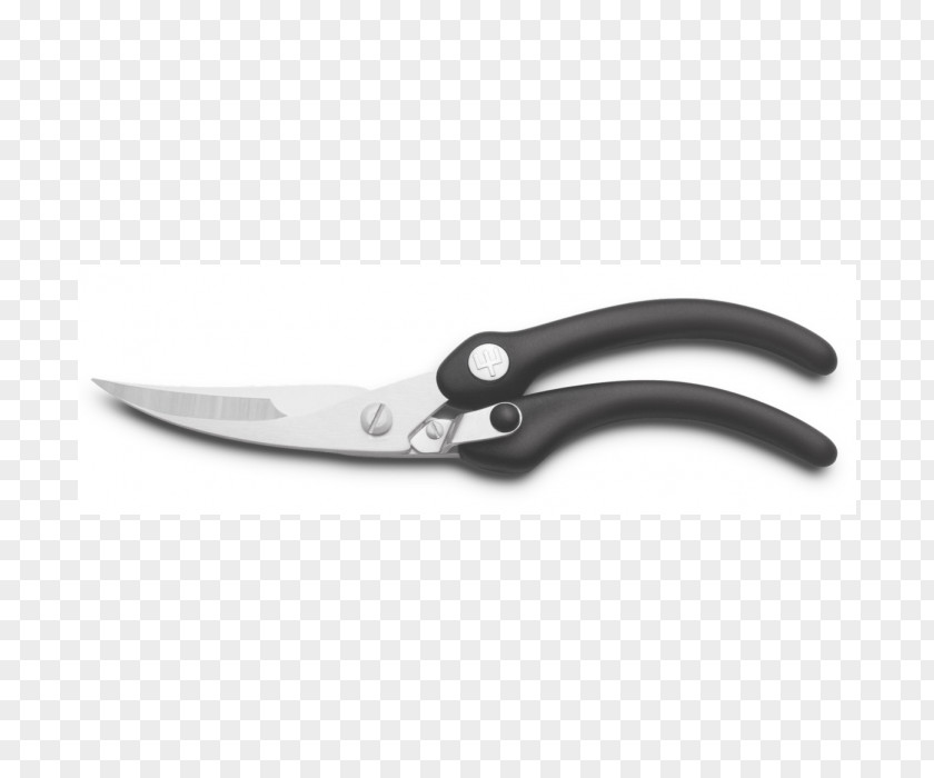 Knife Solingen Wüsthof Kitchen Knives PNG