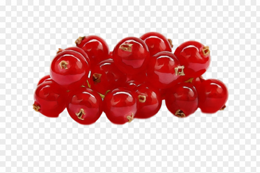 Berry Red Fruit Currant Plant PNG