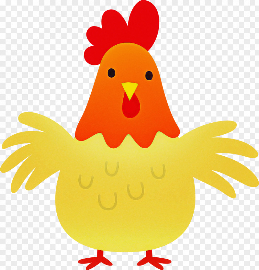 Chicken Rooster Bird Yellow Beak PNG