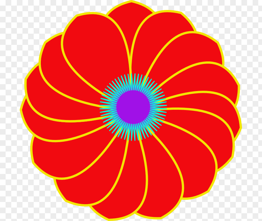 Circle Clip Art Transvaal Daisy Cut Flowers Point PNG