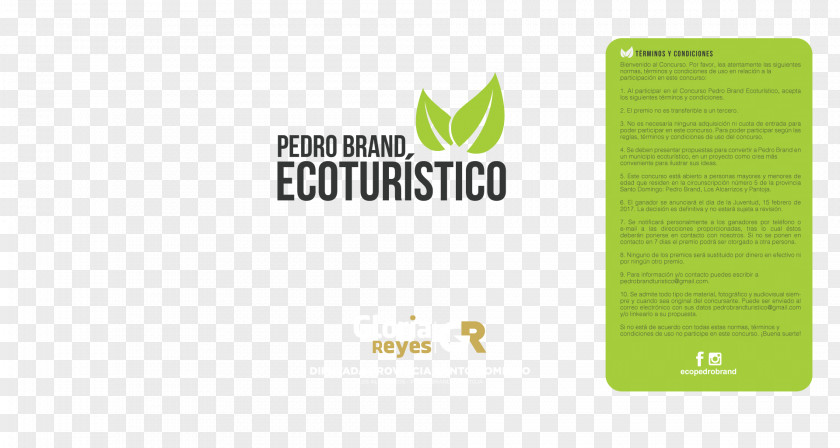 Design Logo Brand Product Green PNG
