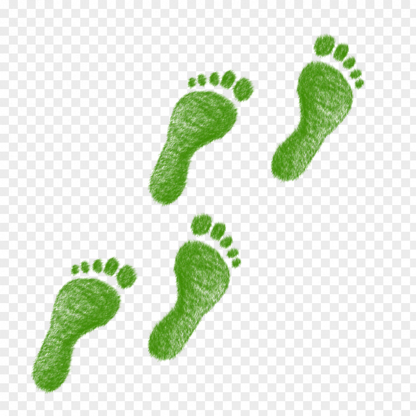 Footprints Ecological Footprint Ecology Environmental Degradation Natural Environment Surgery PNG