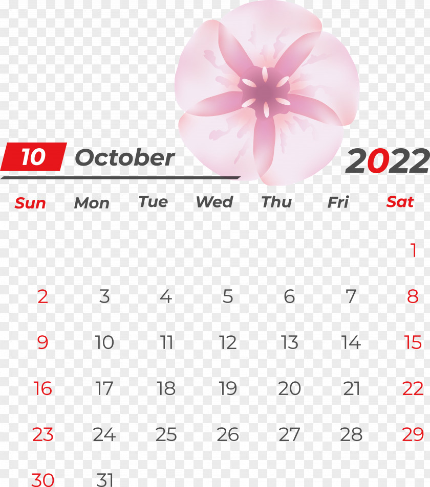 Line Calendar Font Petal Meter PNG