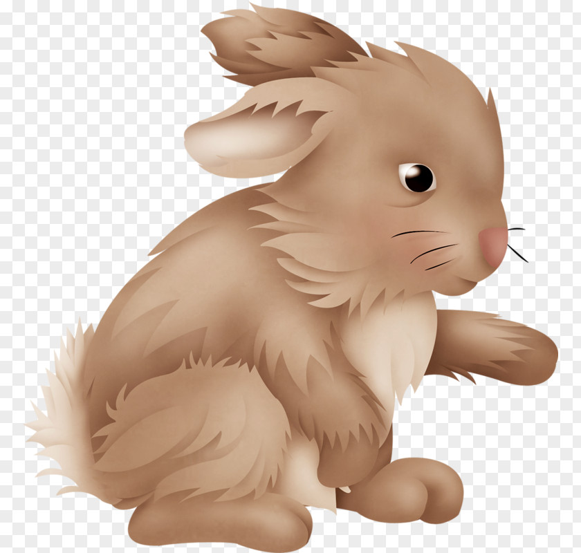 Rabbit Domestic Hare Easter Bunny Clip Art PNG